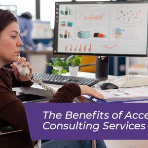 Auditing Website Accessibility for Inclusive User Access
